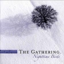 NIGHTTIME BIRDS -2CD-